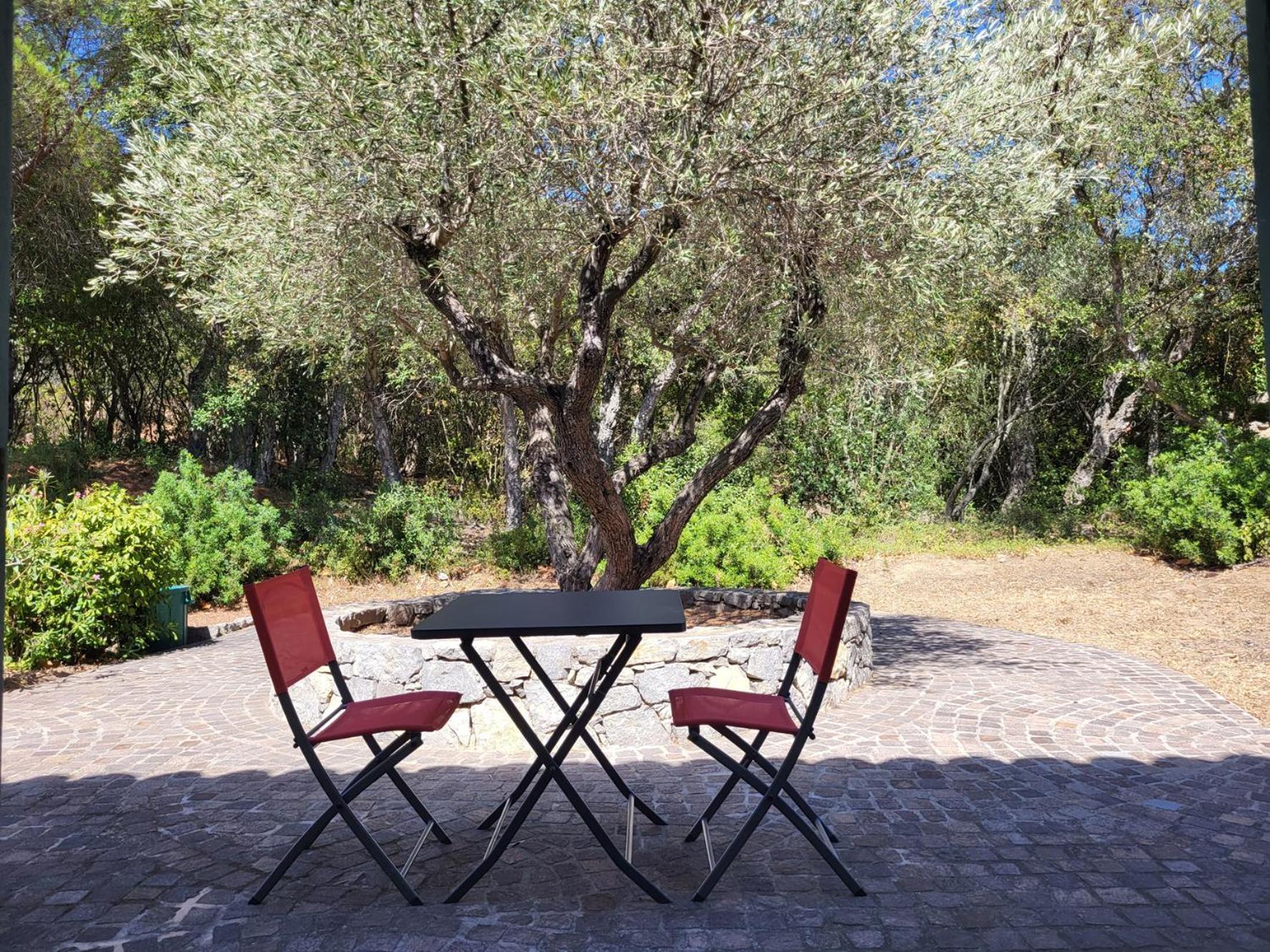 La Villa Romeo, Piscine Et Spa Sainte-Maxime Esterno foto